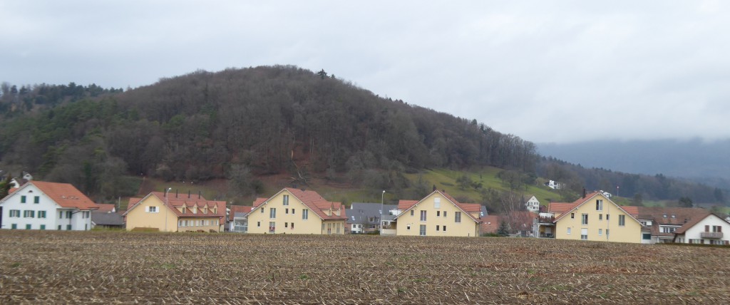 Neubauten an der Schulstrasse in Reih und Glied: Oed und langweilig, als stünden sie in der ehemaligen DDR.